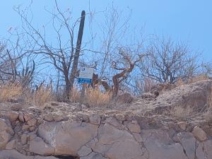Terreno en venta en Pedregal de la Paz, La Paz — foto 2 de 6