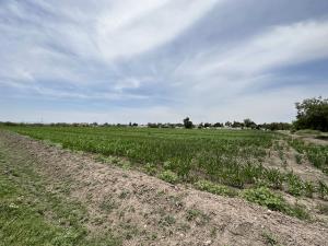 Terreno en venta en Maravillas, Matamoros — foto 2 de 12