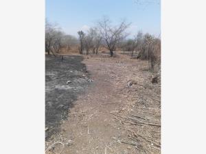 Terreno en venta en Tequesquitengo, Jojutla — foto 2 de 6