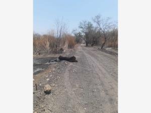 Terreno en venta en Tequesquitengo, Jojutla — foto 3 de 6