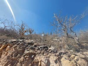 Terreno en venta en Pedregal de la Paz, La Paz — foto 3 de 10