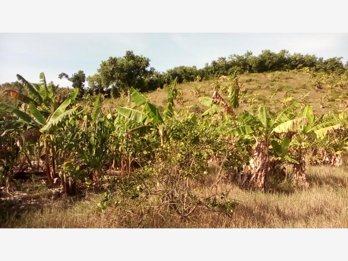 Terreno en venta en Rancho Playa, Papantla — foto 1 de 13