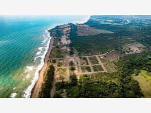 Terreno en venta en Palma Sola, Alto Lucero de Gutiérrez Barrios — foto 3 de 3