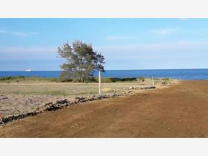 Terreno en venta en Palma Sola, Alto Lucero de Gutiérrez Barrios — foto 2 de 3