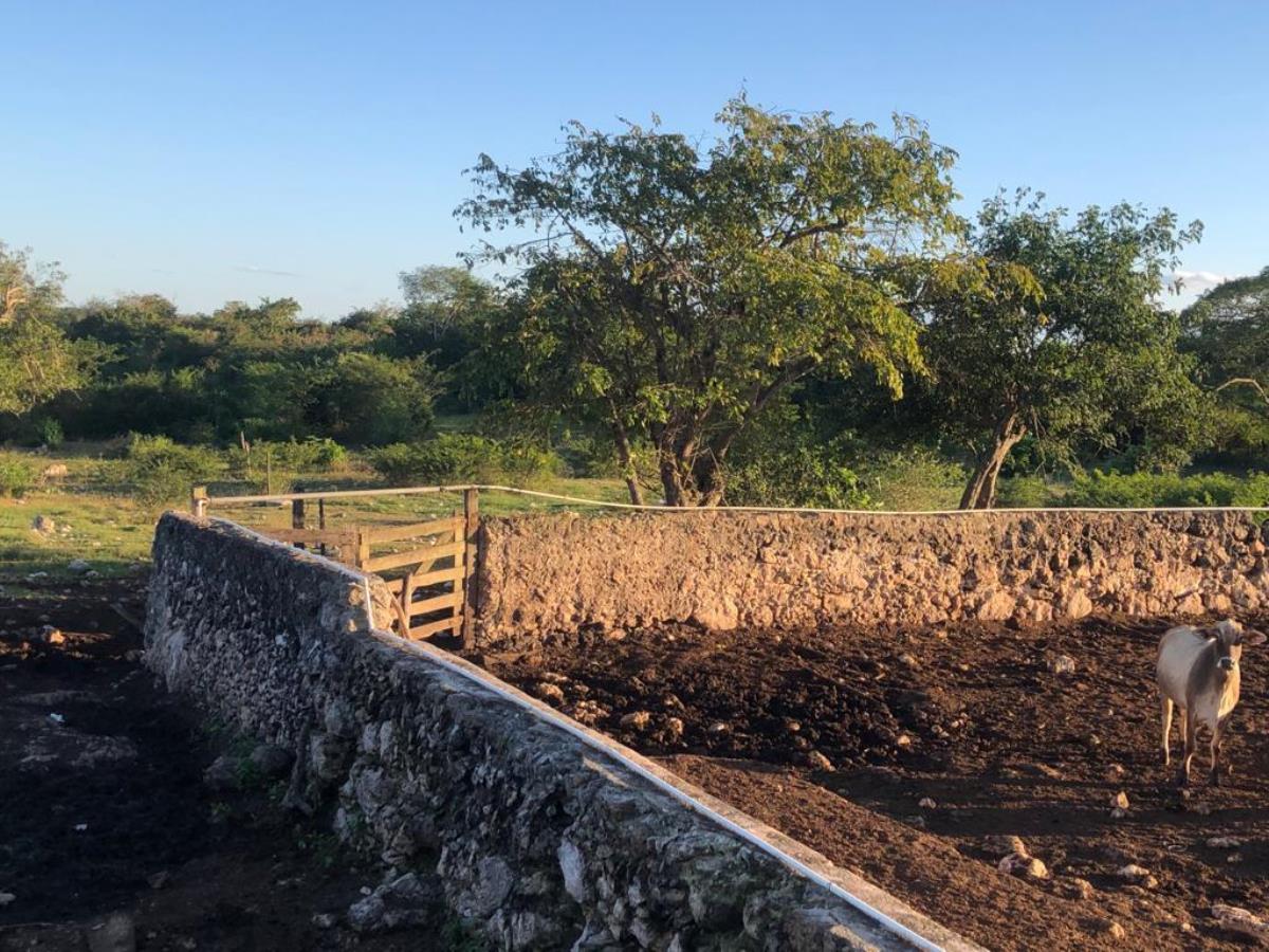 Finca-Rancho en venta en Sucila, Sucilá — foto 1 de 11