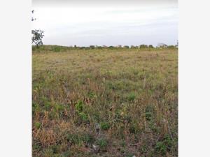 Finca-Rancho en venta en Sucila, Sucilá — foto 2 de 11