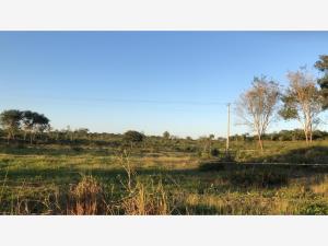 Finca-Rancho en venta en Sucila, Sucilá — foto 3 de 11