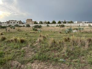 Terreno en venta en Bosques de Matilde, Zempoala — foto 3 de 7