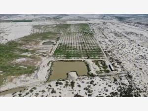 Terreno en venta en San Francisco del Progreso, Parras — foto 3 de 6