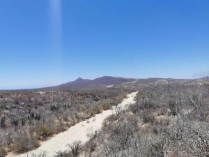 Terreno en venta en San José del Cabo (Los Cabos), Los Cabos — foto 3 de 11