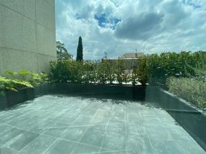 Departamento en venta en Lomas de Chapultepec I Sección, Miguel Hidalgo — foto 2 de 16