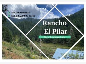 Finca-Rancho en venta en Puerto Carbonera, Arteaga — foto 3 de 5