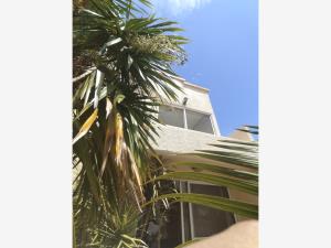 Casa en venta en Palma Diamante, Acapulco de Juárez — foto 2 de 11
