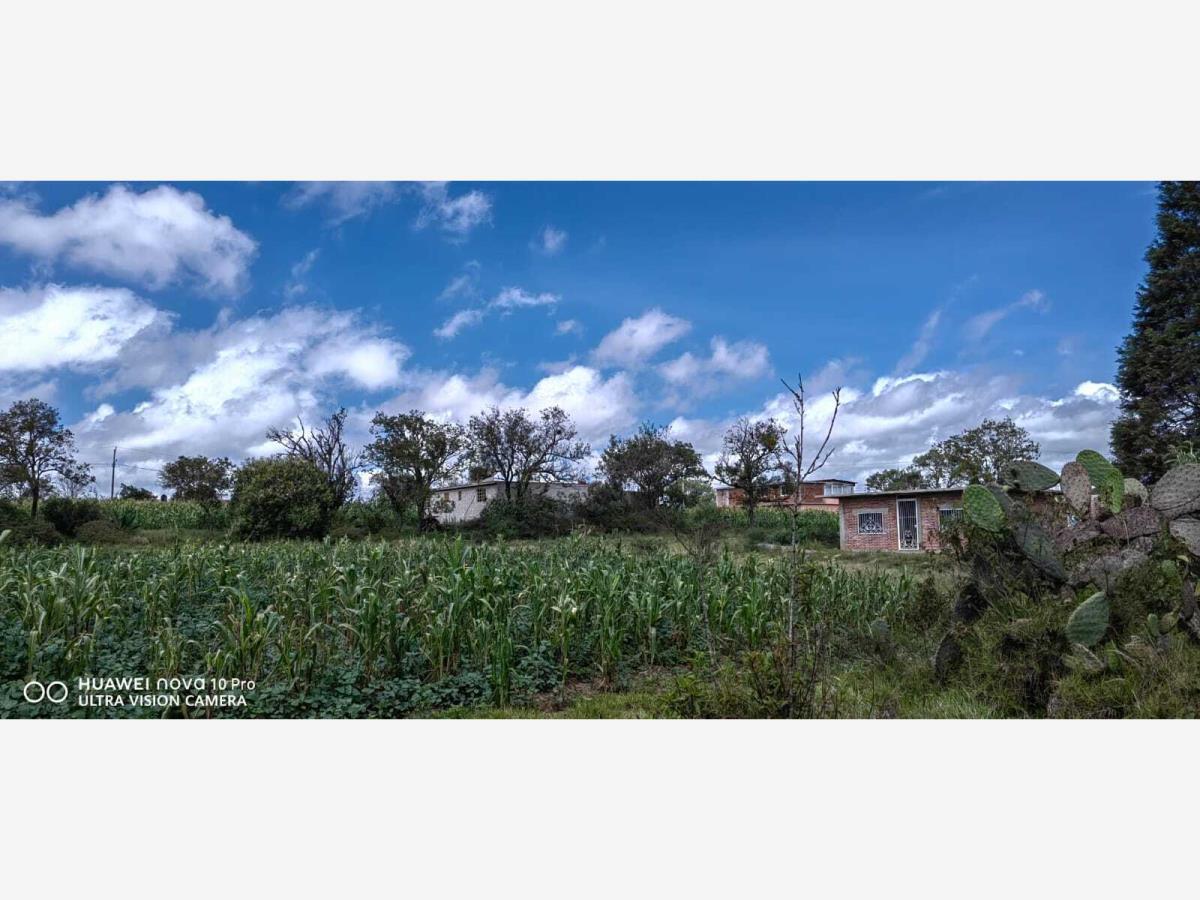 Terreno en venta en Tenextla, Chignahuapan — foto 1 de 14