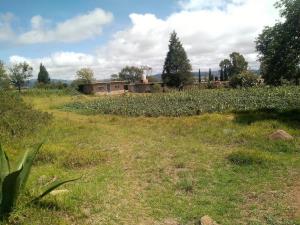 Terreno en venta en Tenextla, Chignahuapan — foto 3 de 14