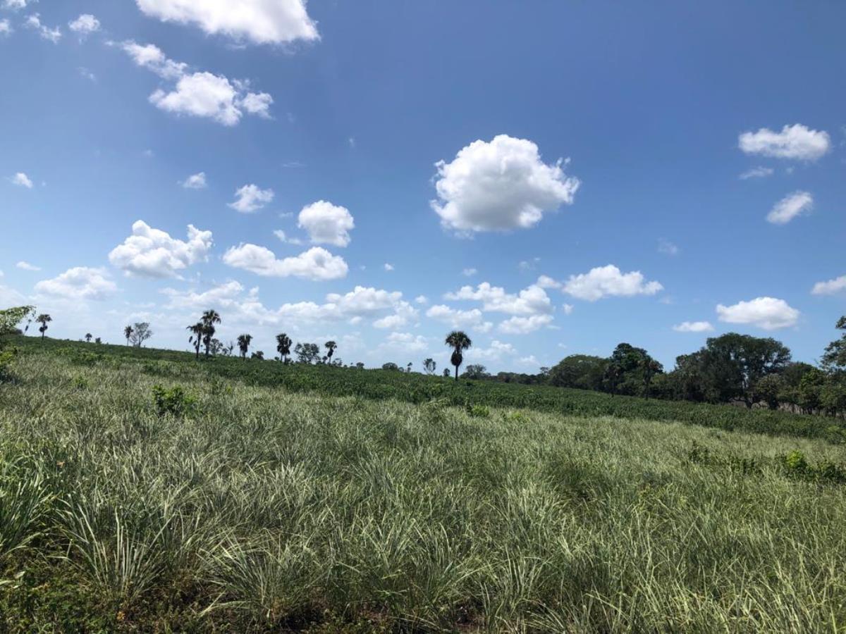 Finca-Rancho en venta en Dzonot Carretero, Tizimín — foto 1 de 7