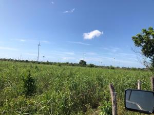 Finca-Rancho en venta en Dzonot Carretero, Tizimín — foto 2 de 7