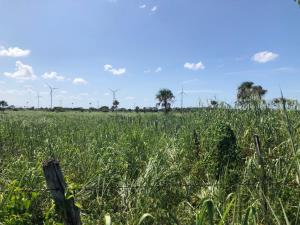 Finca-Rancho en venta en Dzonot Carretero, Tizimín — foto 3 de 7