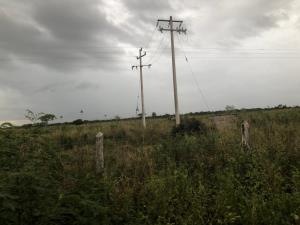 Finca-Rancho en venta en Dzonot Carretero, Tizimín — foto 2 de 7
