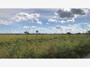 Finca-Rancho en venta en Dzonot Carretero, Tizimín — foto 3 de 7