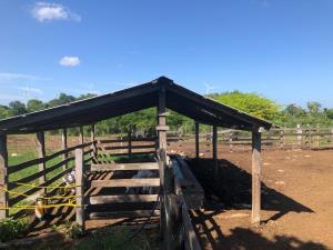Finca-Rancho en venta en Dzonot Carretero, Tizimín — foto 3 de 7