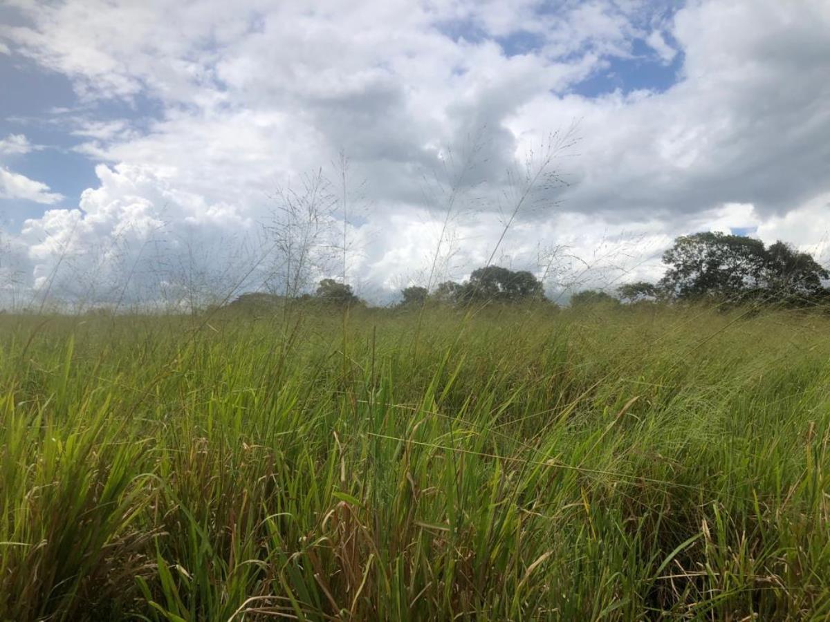 Finca-Rancho en venta en Dzonot Carretero, Tizimín — foto 1 de 7