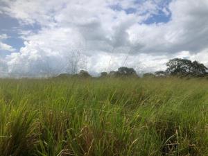 Finca-Rancho en venta en Dzonot Carretero, Tizimín, Yucatán