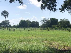 Finca-Rancho en venta en Dzonot Carretero, Tizimín — foto 2 de 7