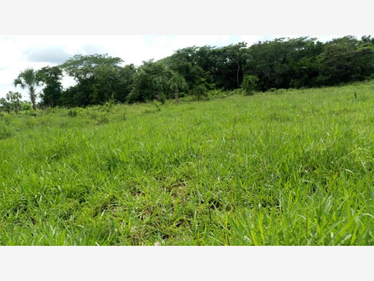 Finca-Rancho en venta en Sucila, Sucilá — foto 1 de 7