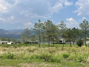 Terreno en venta en El Molino Residencial y Golf, León — foto 3 de 5