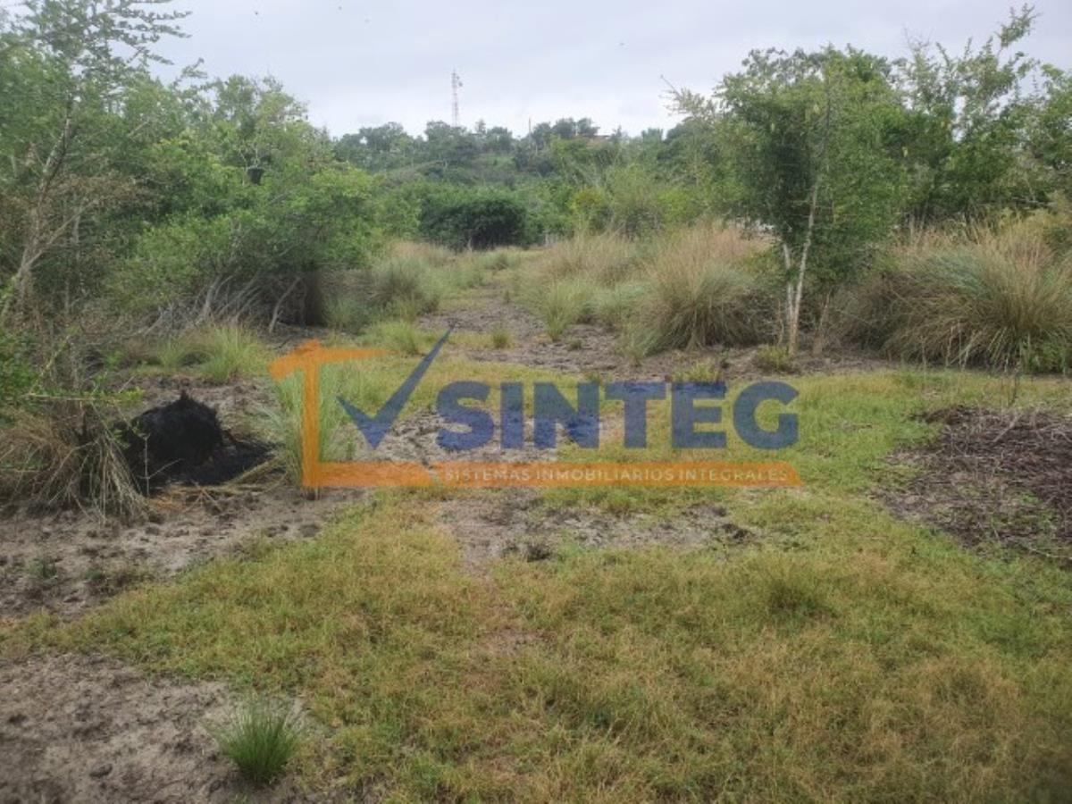 Terreno en venta en Barra de Cazones, Cazones de Herrera — foto 1 de 6