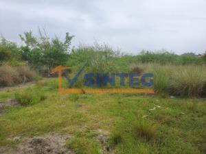 Terreno en venta en Barra de Cazones, Cazones de Herrera — foto 3 de 6