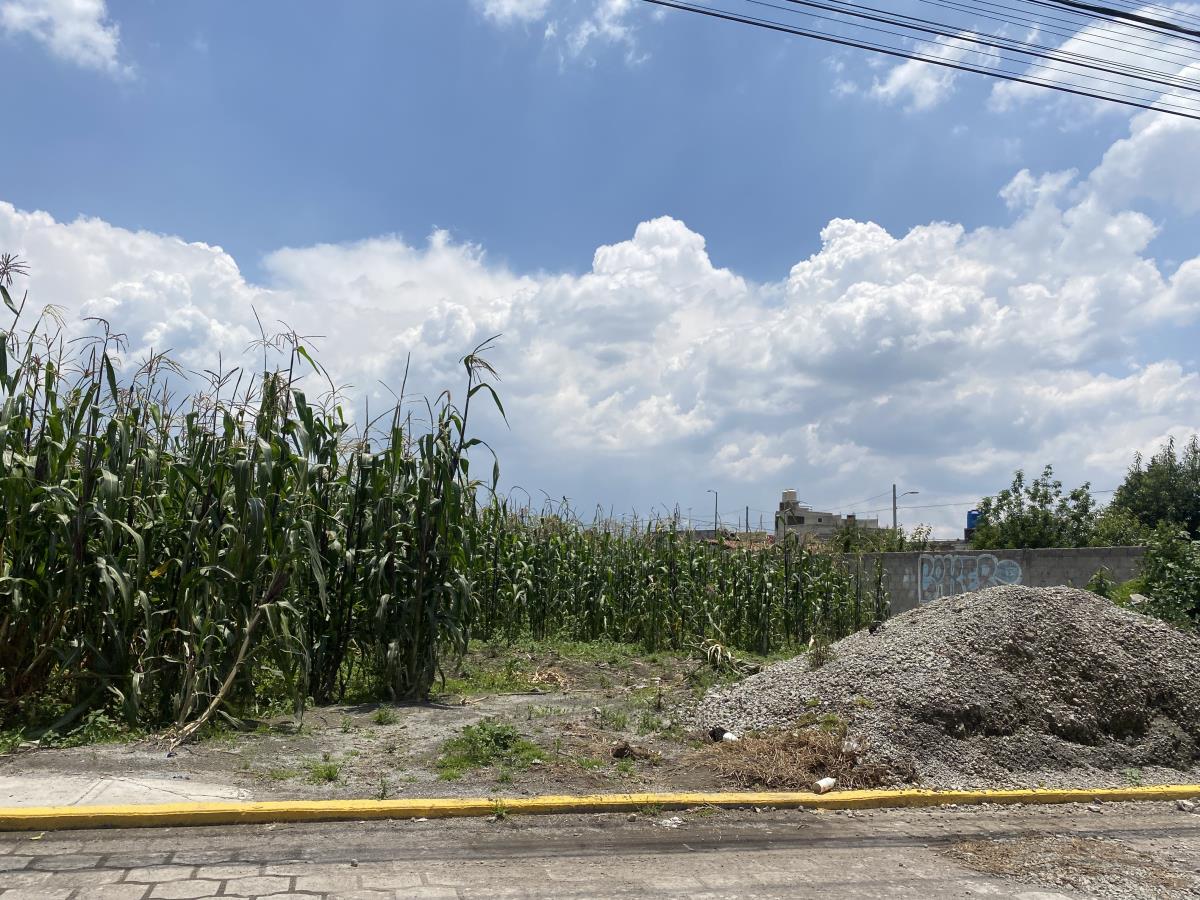 Terreno en venta en San Miguel Totocuitlapilco, Metepec — foto 1 de 5