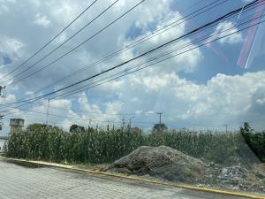 Terreno en venta en San Miguel Totocuitlapilco, Metepec — foto 3 de 5