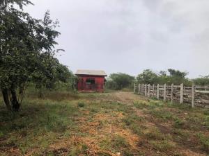 Finca-Rancho en venta en Cenote Yalsihón Buena Fe, Panabá — foto 2 de 8