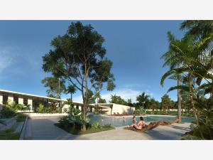 Terreno en venta en Dzitya, Mérida — foto 3 de 10