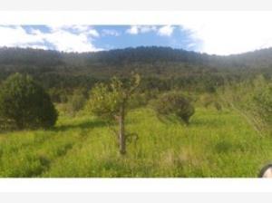 Terreno en venta en Jame, Arteaga, Coahuila de Zaragoza