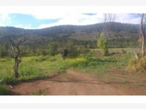 Terreno en venta en Jame, Arteaga — foto 2 de 7