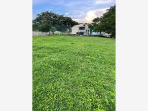 Terreno en venta en El Chivato (Providencia), Villa de Álvarez — foto 2 de 7