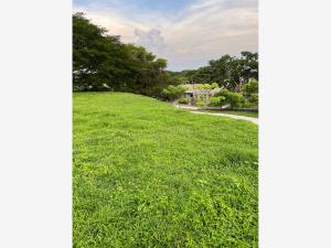 Terreno en venta en El Chivato (Providencia), Villa de Álvarez — foto 3 de 7