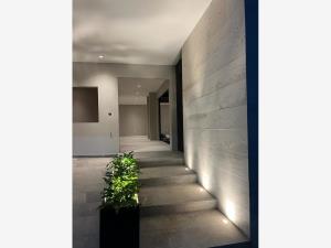 Casa en venta en Tetela del Monte, Cuernavaca — foto 3 de 37