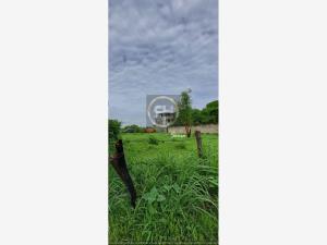 Terreno en venta en Peña Flores (Palo Verde), Cuautla — foto 2 de 7