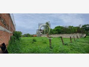 Terreno en venta en Peña Flores (Palo Verde), Cuautla — foto 3 de 7