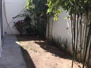 Casa en renta en Hacienda San Angel, León — foto 3 de 10