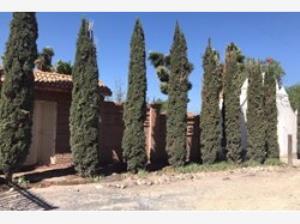 Casa en venta en San Isidro de las Palomas, Arteaga — foto 3 de 14