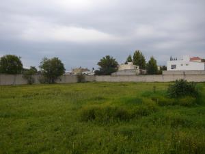 Terreno en venta en Alvaro Obregon, San Mateo Atenco, México