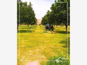 Terreno en venta en La Loma, Lerdo — foto 2 de 8