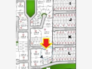 Terreno en venta en San Armando, Torreón — foto 2 de 5