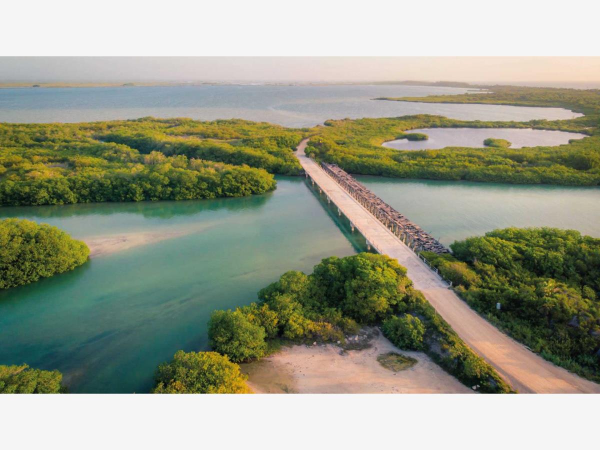 Hotel en venta en Aldea Tulum, Tulum — foto 1 de 54