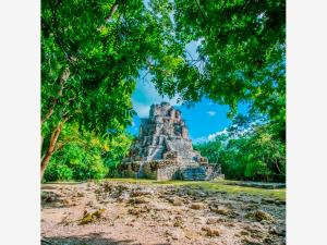 Hotel en venta en Aldea Tulum, Tulum — foto 3 de 54